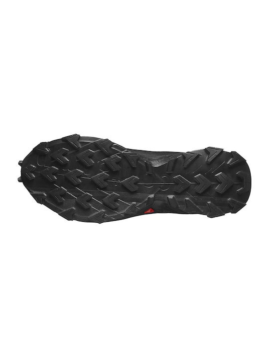 Alphacross 5 GTX Sport Shoes Running Waterproof with Gore-Tex Membrane Black Peat / Sulphur / Spring