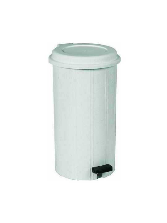 Viomes Coș De Gunoi Din Plastic Cu Pedală Alb 28lt