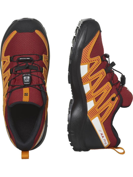 Salomon