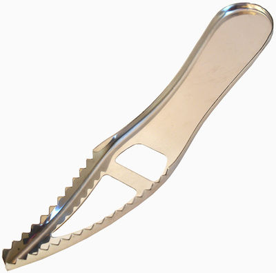 Stainless Steel Fish Scaler