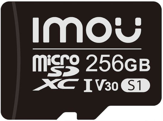 microSDXC 256GB Class 10