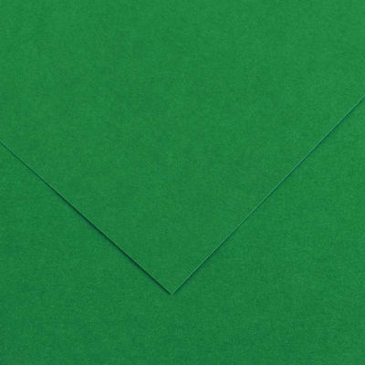 Canson Canson Cardboard Colorline Double Sided Green 300 Moss 220gr 50x70cm