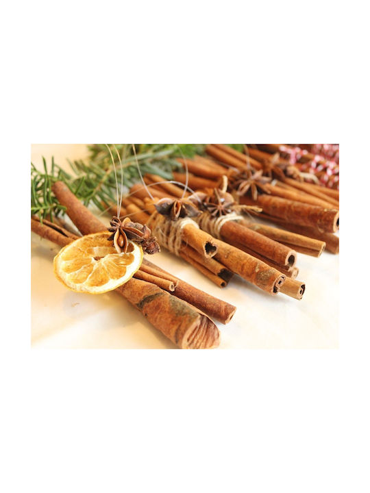 Panora ΔΙΑΚΟΣΜΗΤΙΚΟ ΞΥΛΟ ΚΑΝΕΛΑΣ 8εκ. ΒΙΕΤΝΑΜ STICK 5gr