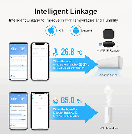 Digital Thermometer
