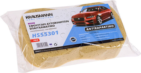 Krausmann Sponges Cleaning for Bodywork