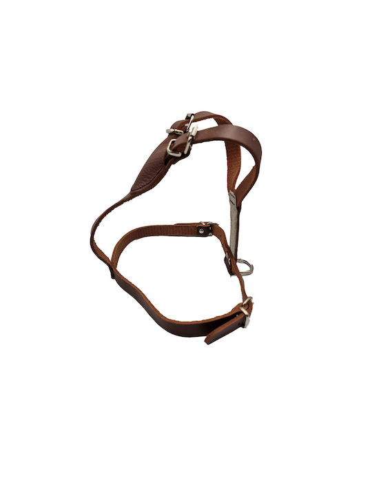 ByLeather Δερμάτινο Καφέ Small / Large