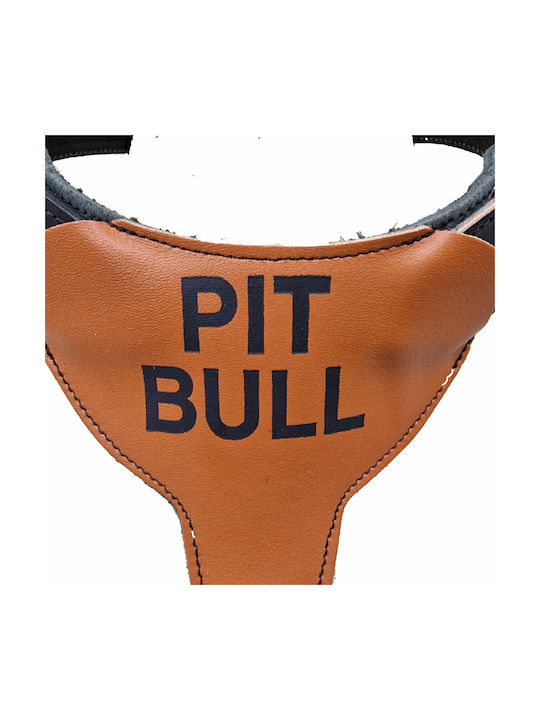 ByLeather Dog Harness Leather Medium / Small 7039