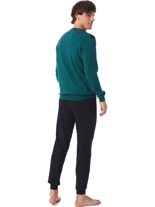 Minerva Bull Green, Black