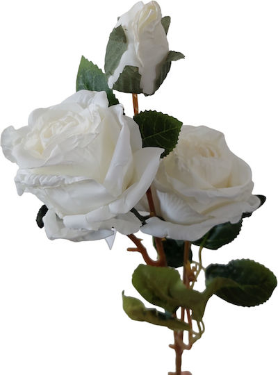 Bouquet of White Roses Ebutterflies