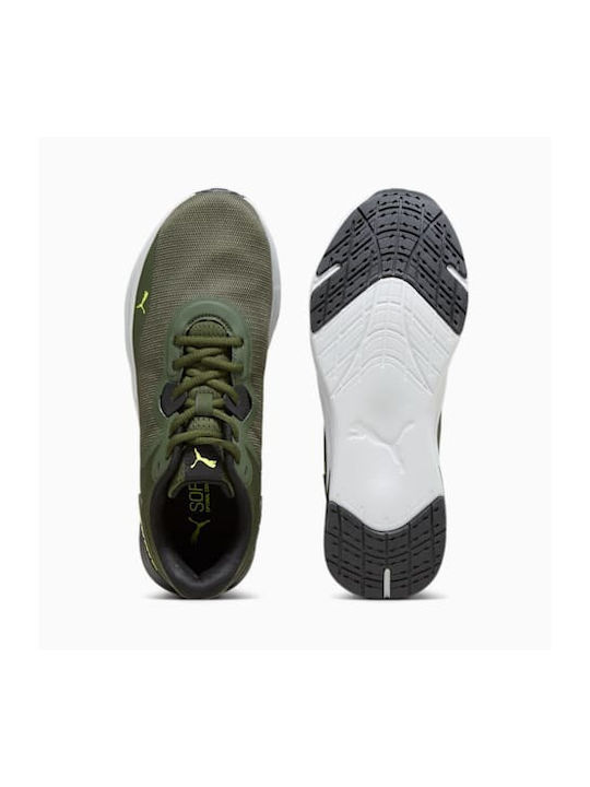 Disperse Xt 3 Herren Sportschuhe Laufen Grün