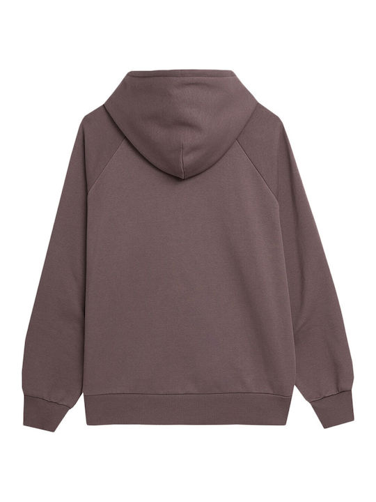 4F Herren Sweatshirt mit Kapuze Braun