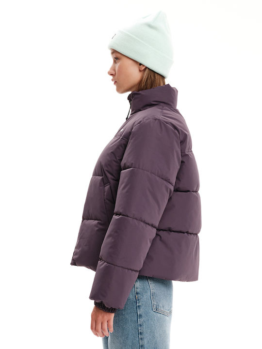 232.EW10.74-PURPLE