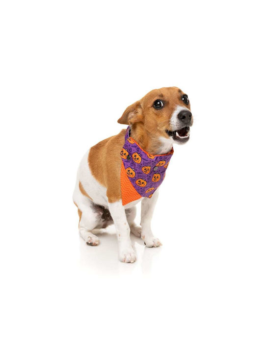 Fuzzyard Halloween Bandana für Hunde in Orange Farbe Medium / Large
