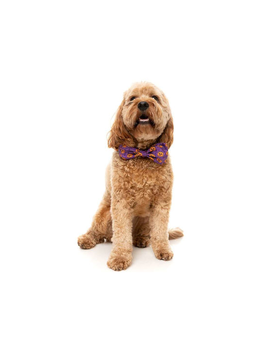 Fuzzyard Cravată Bow Tie Portocalie Halloween 10 cm