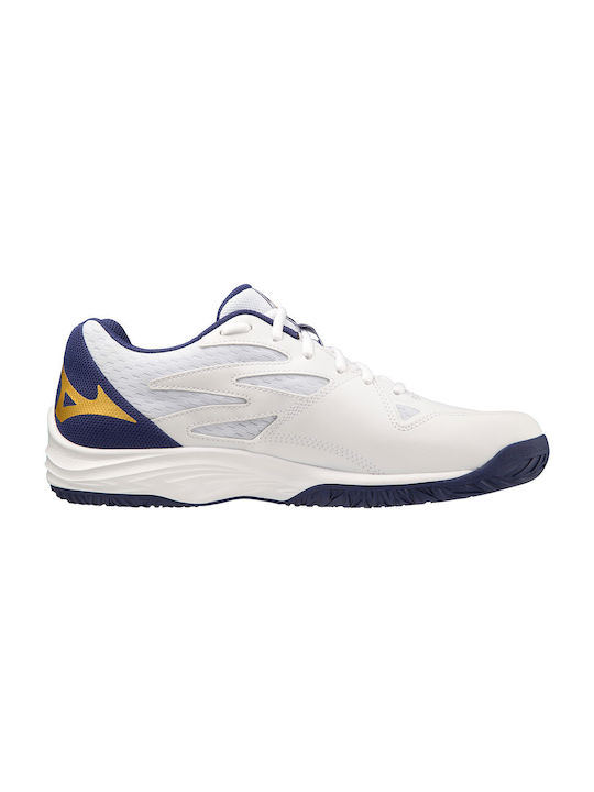 Mizuno