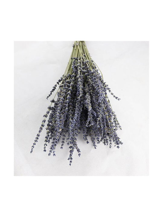 Lalos Dried Plant Lavender Purple 50cm 1pcs