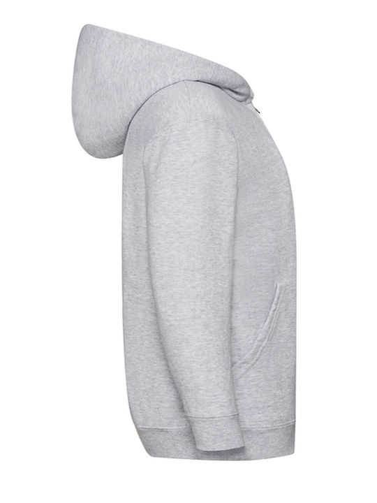 Kids Moda Boys Hooded Sweatshirt with Zipper Gray