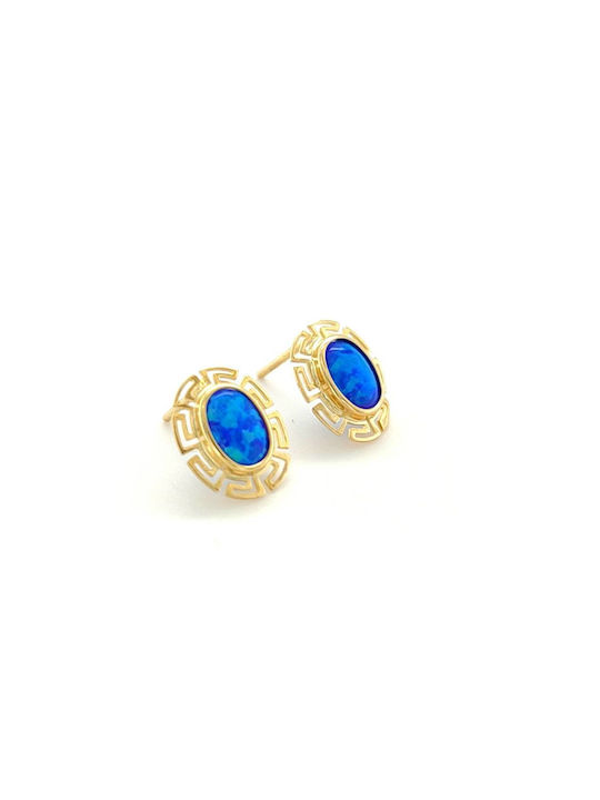 Earrings made of Gold 14K with Stones