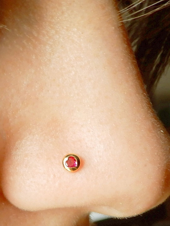 Nose Piercing in 14K Gold