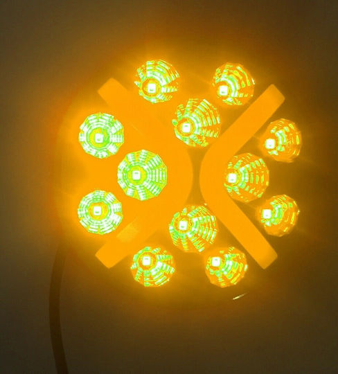 Blitzlicht LED 24V Universell 1Stück