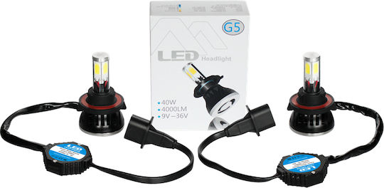 Car Xenon Kit H8 CAN Bus 40W 12V 6000K Cold White