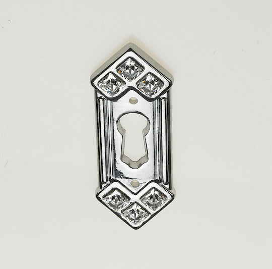Rosette - Door Escutcheon Furniture Silver