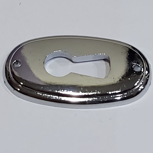 Rosette - Door Escutcheon Furniture Silver