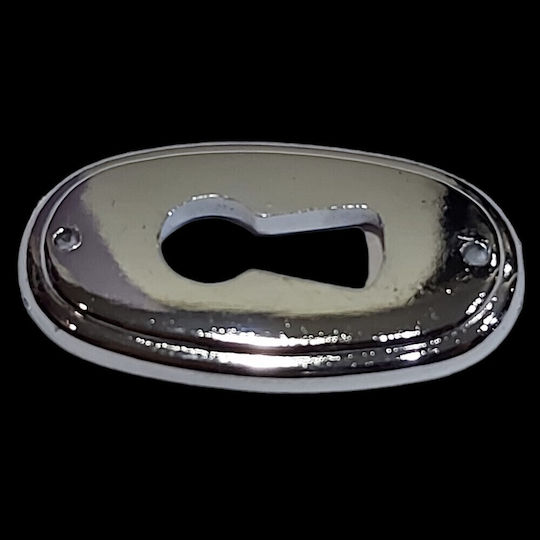 Rosette - Door Escutcheon Furniture Silver