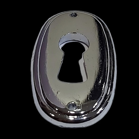 Rosette - Door Escutcheon Furniture Silver