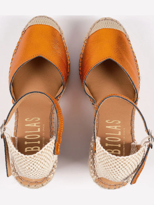 Fabiolas Collection