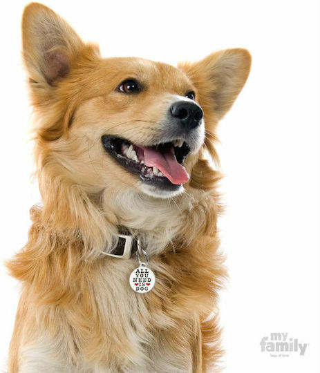 My Family Dog ID Tag Circular Yellow Metal Personalized