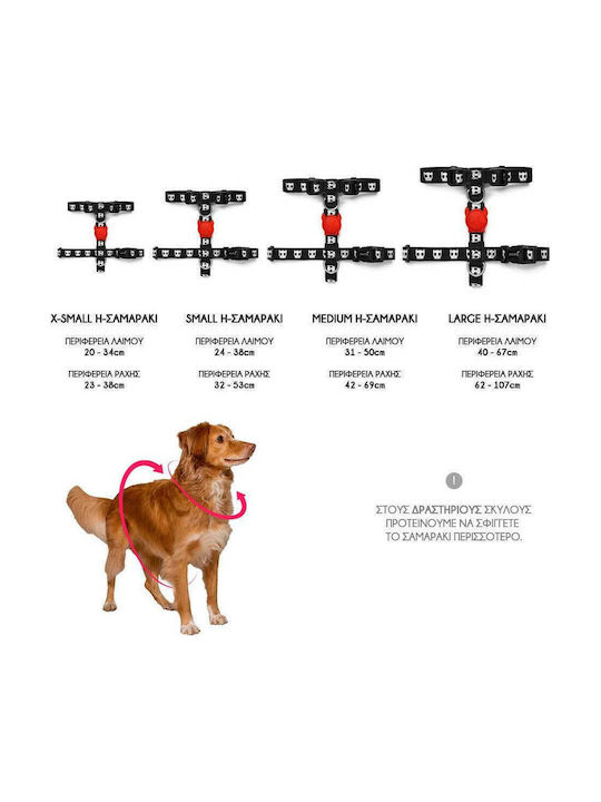 Zee Dog Large