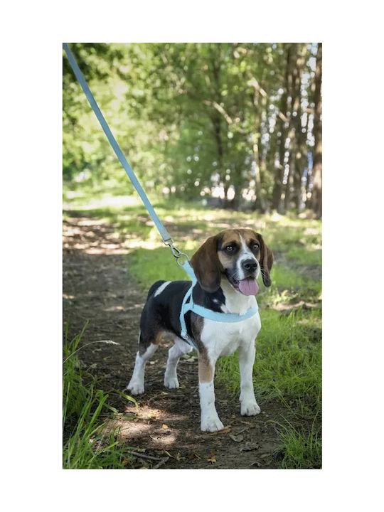 Flamingo Hundegeschirr Ausbildung Blau X-Large