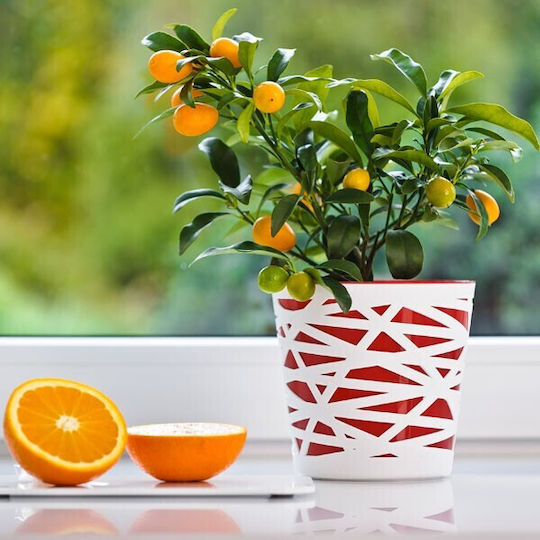 Don-Plast Pot Plastic Don-Plast Pot Plastic