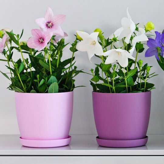 Don-Plast Blumentopf Kunststoff