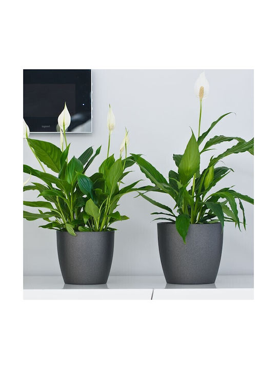 Don-Plast Pot Plastic 20x20x18cm.