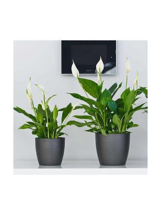 Don-Plast Pot Plastic 20x20x18cm.