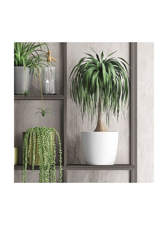 Don-Plast Ghiveci Plastic 30x30x27.3cm.