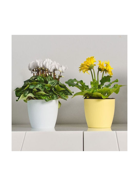 Don-Plast Ghiveci Plastic 25x25x22.9cm.