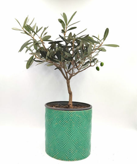 Plant Pot Ceramic Turquoise