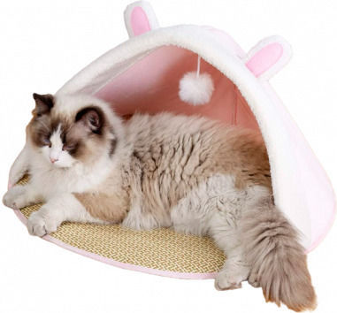 Tatu Moyo Bett Katze Rosa