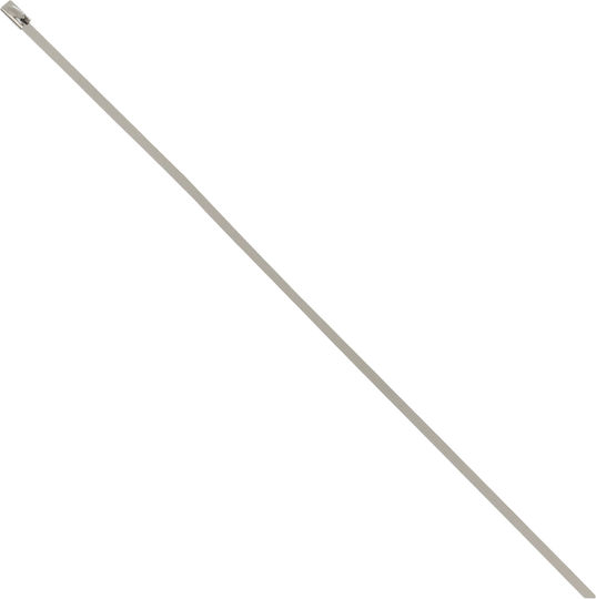 Δεματικά Καλωδίων Πλαστικά 300mmx4.6mm σε Ασημί χρώμα (50τμχ) (EE6970)