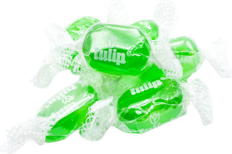 Tulip 1Stück 500gr