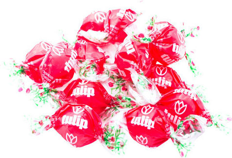 Tulip 1Stück 250gr