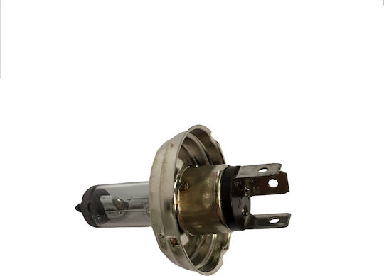 Auto Gs Λάμπες H4 Αλογόνου 12V 2τμχ
