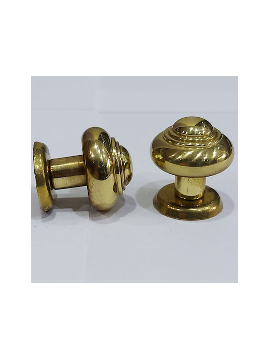 Eurofer Knob Furniture made of Metallic Gold-glossy 11389-000-BRZ2 1pcs