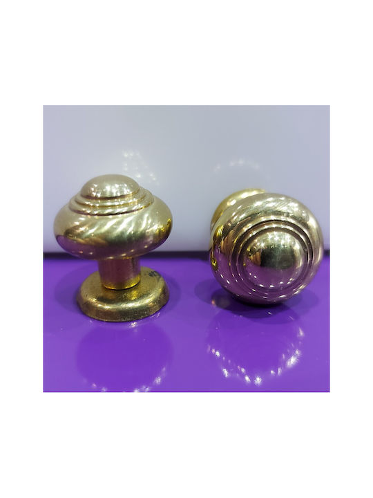 Eurofer Knob Furniture made of Metallic Gold-glossy 11389-000-BRZ2 1pcs