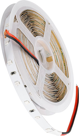 GloboStar LED Strip 24V Green Light 1m Type SMD2835