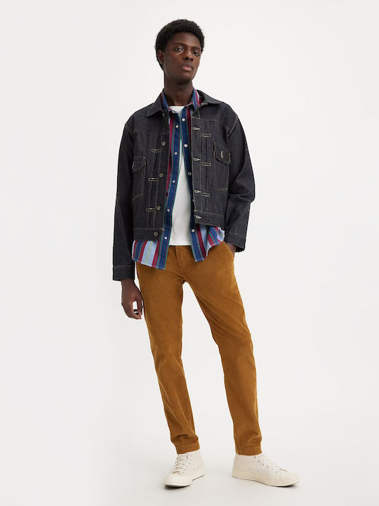 Xx Trousers Chino Elastic in Regular Fit Brown