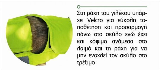 Outdoor Life Μπουφάν Σκύλου Κίτρινο